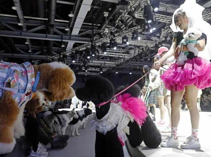  上海寵物時裝周開幕